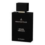 Maison de L'Avenir Avenir Triumph EDP 100ml For Unisex - Image 2