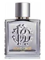 Roberto Cavalli Uomo Silver Essence EDT 100ml Perfume For Men - Image 2