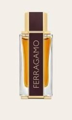 Salvatore Ferragamo Spicy Leather Parfum 100ml For Men - Image 2