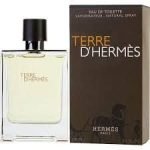 Hermes Terre D Hermes EDT 100ml For Men