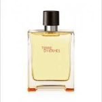 Hermes Terre D Hermes EDT 100ml For Men - Image 2