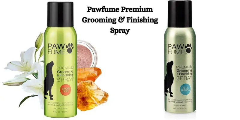 Can I Spray Perfume On My Dog?