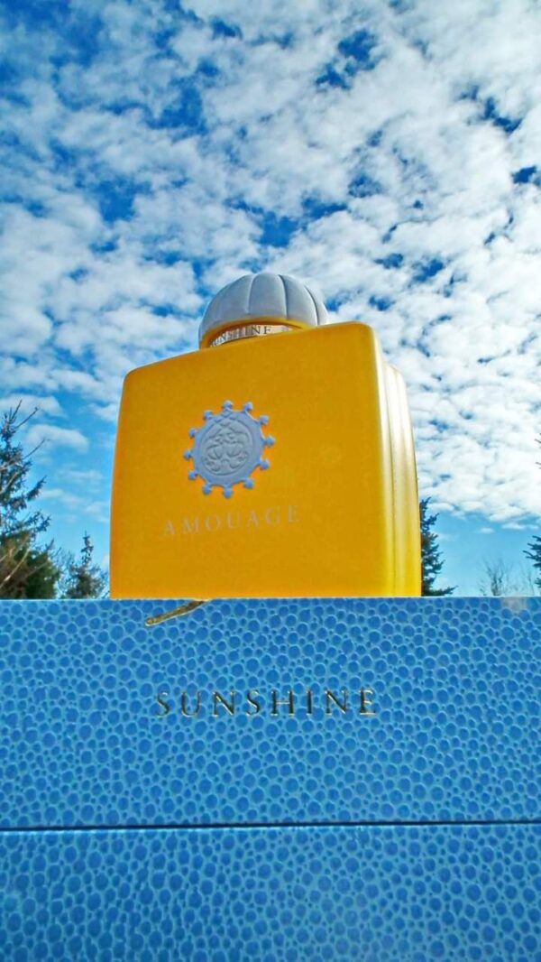 AMOUAGE Sunshine EDP 100ml Perfume For Men