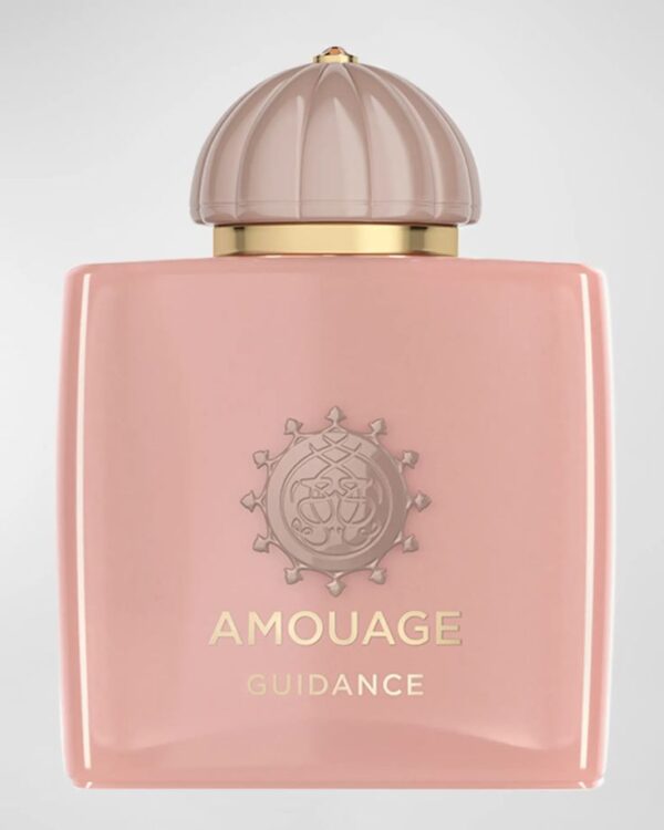 Amouage Guidance EDP 100ML For Men