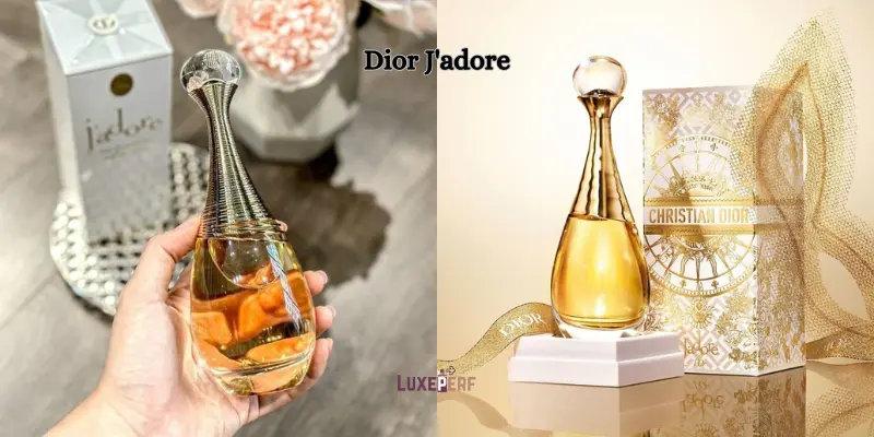 What Material Holds Perfume Better? Unlocking the Secrets of Long-Lasting Fragrance