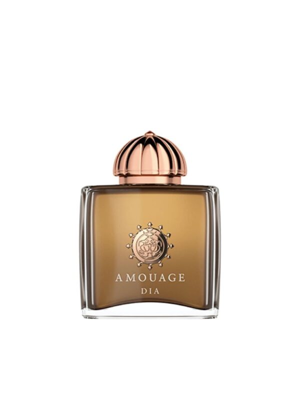 AMOUAGE Dia Woman EDP 100ML