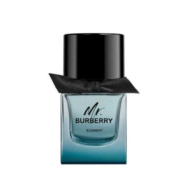 Burberry Mr Burberry Element EDT 100ml For Men - Image 2