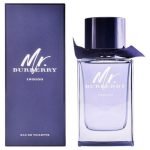 Burberry Mr Burberry INDIGO EDT 100ml For Men