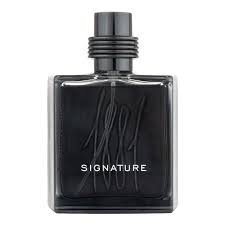 Cerruti 1881 Signature EDP 100ml For Men
