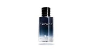Christian Dior Sauvage EDT 100ml For Men