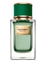 Dolce & Gabbana Velvet Cypress EDP 150ml Perfume For Men - Image 3