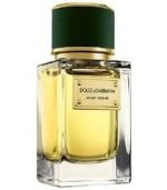 Dolce & Gabbana Velvet Vetiver EDP 150ml Unisex - Image 2