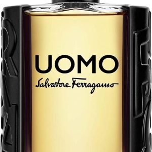 FERRAGAMO Uomo EDT 100ml For Men