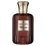 Fa Paris Paradox Vetiver EDP 100ml Perfume For Men - Image 2