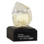 Ramon Molvizar White Goldskin EDP 75ml Perfume For Unisex - Image 2