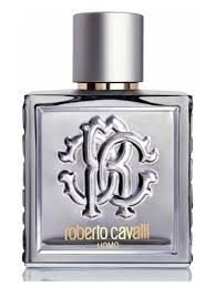 Roberto Cavalli Uomo Silver Essence EDT 100ml Perfume For Men