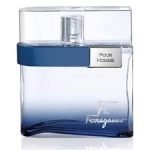 Salvatore Ferragamo F Free Time EDT 100ml For Men - Image 2
