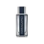 Salvatore Ferragamo Ferragamo EDT 100ml For Men