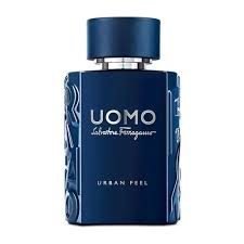 Salvatore Ferragamo Uomo Urban Feel EDT 100ml For Men