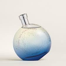 Hermes L'Ombre Des Merveilles EDP 100ml For Unisex