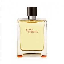 Hermes Terre D Hermes EDT 100ml For Men