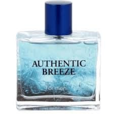 Jeanne Arthes Authentic Breeze EDT 100ml Perfume For Men