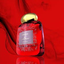 Breed My Sugar Baby EDP 100ml For Unisex